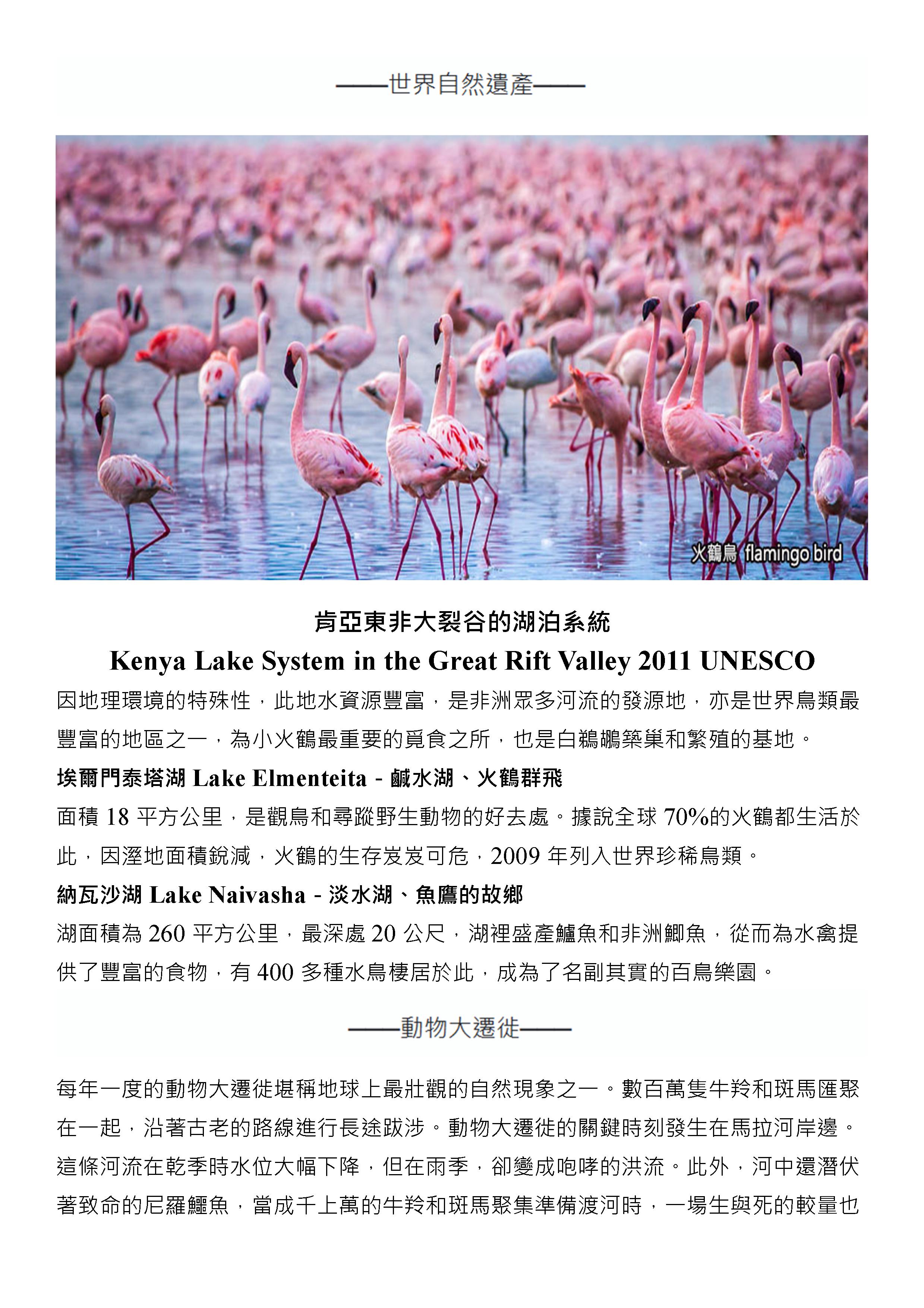 府城旅行社Rey的旅遊天地